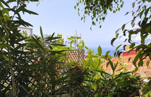 Casa Flora Garden Studio (Gite) - Foto 21