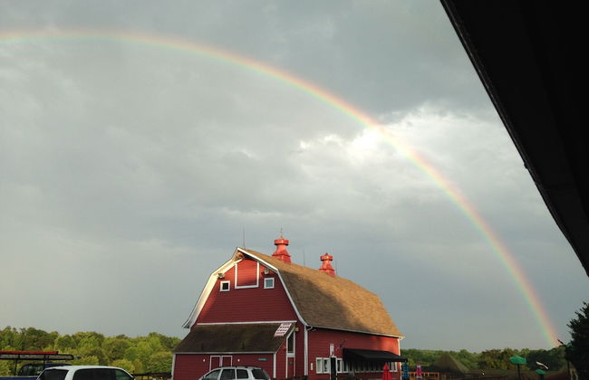 Wilderness Presidential Resort - Foto 49