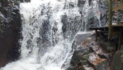 Casa Verde - #casinhasscherer - Foto 2