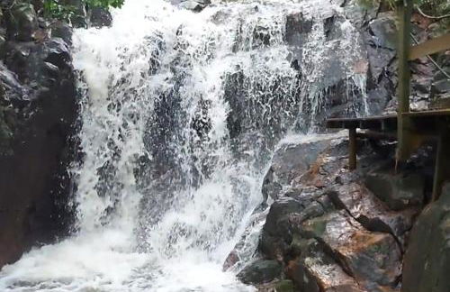 Casa Verde - #casinhasscherer - Foto 2