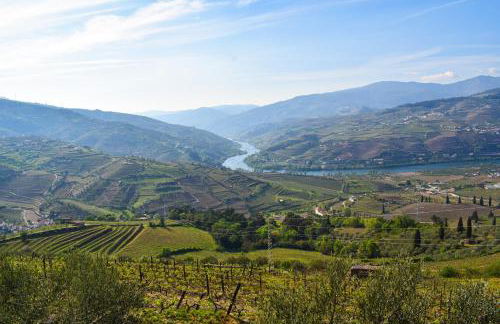Quinta dos Padrinhos - Suites in the Heart of the Douro - Foto 16