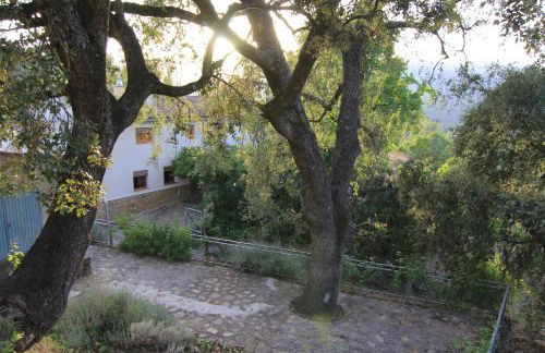 Mesoncillo NEO - Foto 36