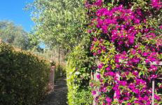 Casa Niki e Sole - Foto 2