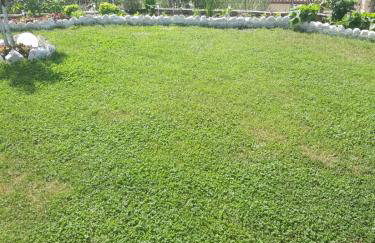 Apartments dimitra - Foto 9