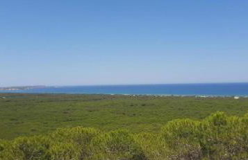 Villa del Maestro - Foto 30