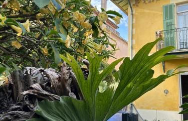 Chez Courbou - Foto 11