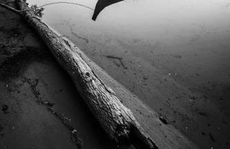 Casa da Barca - Foto 21