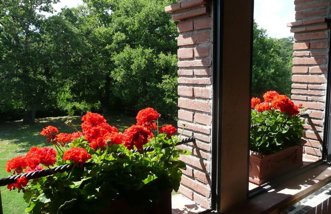 Agriturismo Colli di Travale - Foto 37