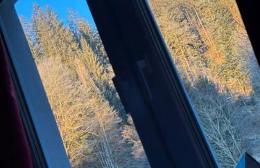 Haus Steiner - Ruhige, top bewertete Ferienwohnung in Lauterbach - Schwarzwald - Foto 31