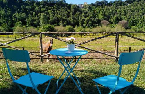 Tenuta calidarius - Foto 10