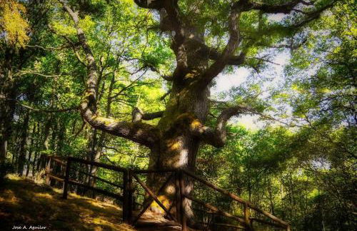 Paraíso Desconocido 1. Pura Magia - Foto 30