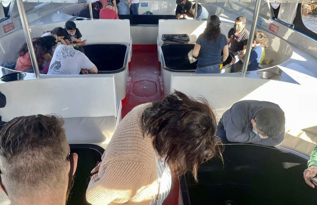 Passeio de barco com fundo de vidro por Long Beach - Foto 8