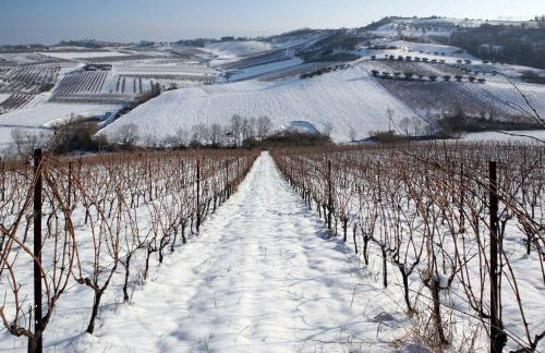 Villa Venti - Craft Wine & Hospitality - Foto 53