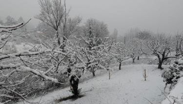 Logement avec terrasse Millau - Foto 2