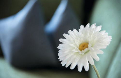 Appartements Bergheim St Andrä bei Brixen - Foto 66