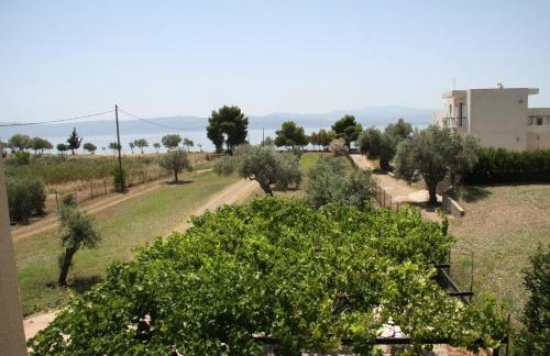 Villa Vlichos - Photo 8