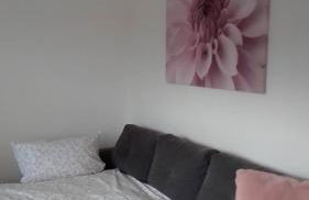 Ankommen und Wohlfühlen - Foto 19