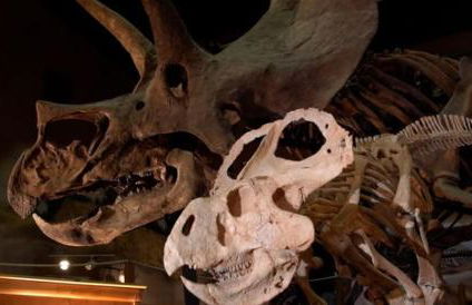 Top Property, Fishermen, Pool Passes, One Minute To The Hot Springs, Location Perfect & Amenity Rich, Pup Friendly, Discover An Exceptional Wyoming Stay, Thermopolis River Walk Home at Hot Springs State Park, 'Where Families and Fisherman Stay' - Foto 62