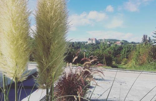 Appartement Burgblick - Foto 14