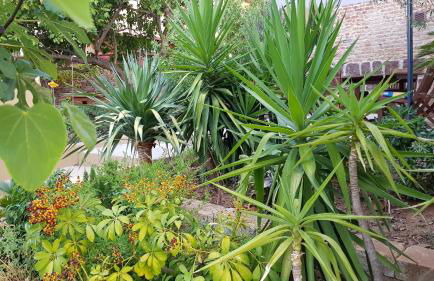 Piero's Apartment - Foto 37