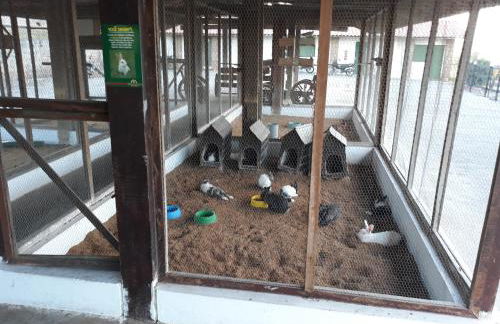 Flat Monte Castelo Gravatá Módulo 17 - Foto 39