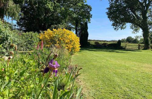 Holmans NEW FOREST - Photo 52