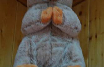 Les 3 marmottes duplex proche de la station Les Karellis - Foto 12