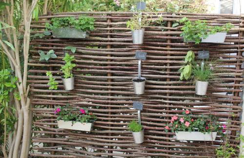 Maison provençale en Corbières - Foto 21