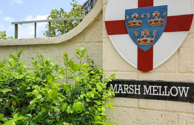 Tiny Home Retreat Near Beach- Marsh Mellow Cottage by BSL Rentals - Foto 19