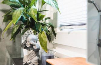 Auszeit am Alfsee, inklusive Dinopark und Indoorspielplatz - Foto 15