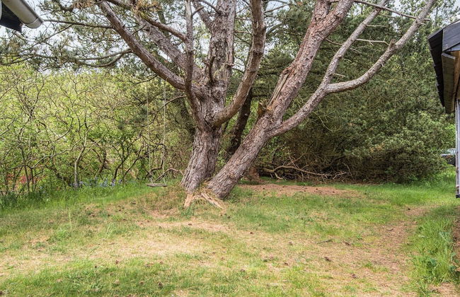 Secluded Retreat by Limfjorden - By Traum Ferienwohnungen - Foto 39