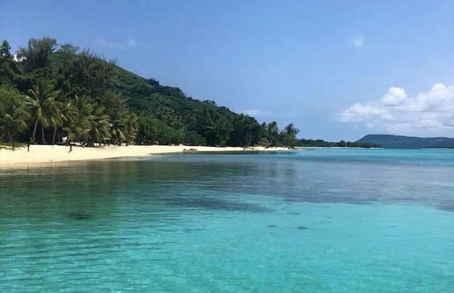 Whispering Palms Vanuatu - Foto 27