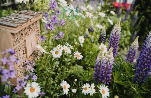 Antresola13 - Foto 29