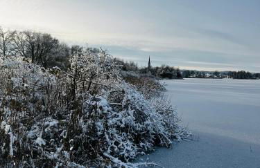 Biohof Liebhart - Photo 20