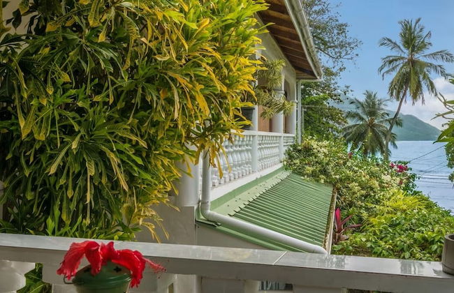 Beau Bamboo - Foto 9