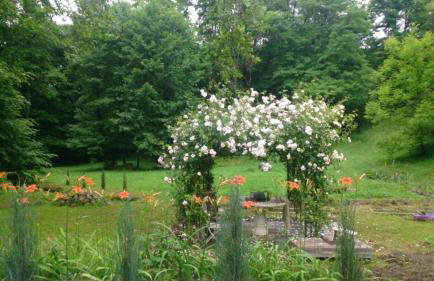 Casa "Dolina Kraljevac" - Foto 17