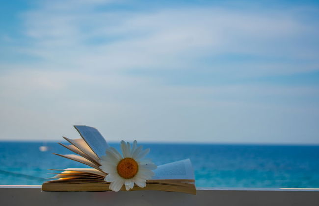 Agoulos Beach Hotel - Foto 63