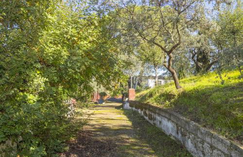 Cubo's Quinta de los Cisnes & minigolf included - Photo 74