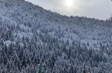 Casa Monte Zebio - Foto 24