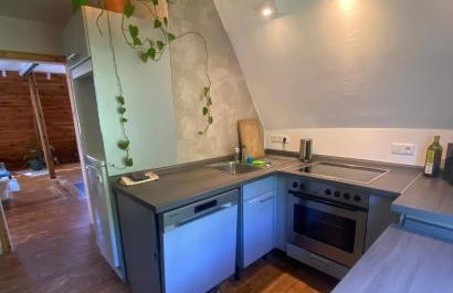 gemütliche rustikale Wohnung mit Kamin und optionalem Whirlpool - Foto 35