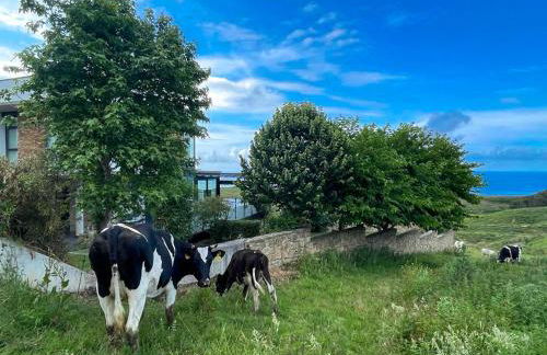 Villa Suances - Foto 40