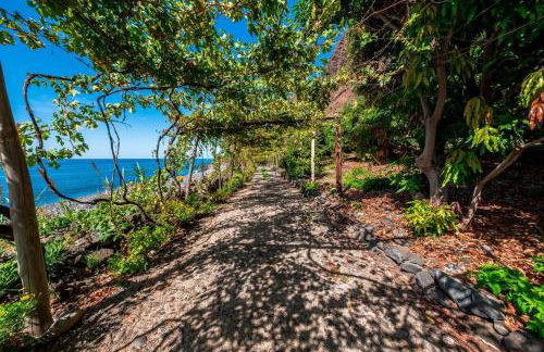 Botanica Living Magnolia Apt - Foto 26