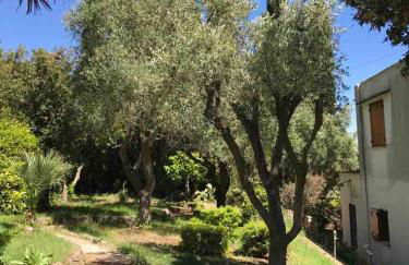 Villa Circeo, con piscina e scesa al mare - Foto 15