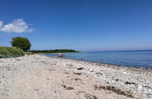 Taubennest - Foto 36