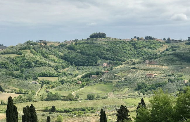 Agriturismo La Fattoria di Capezzana - Foto 18