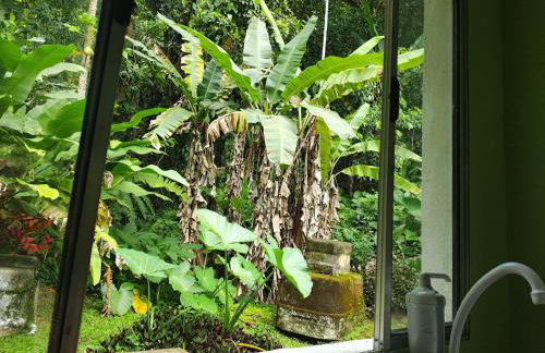 Cantinho Jango - Foto 29