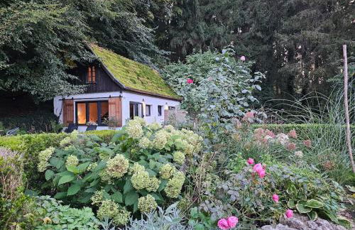 Tiny House mit eigener Sauna am Waldrand in der Fränkischen Schweiz - Foto 20