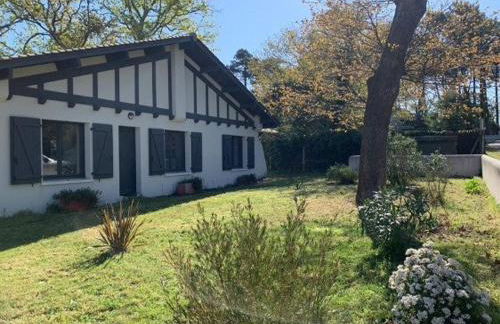 Villa moderne à Grand-Piquey proche du Bassin d'Arcachon, capacité 7 personnes - FR-1-736-71 - Foto 4