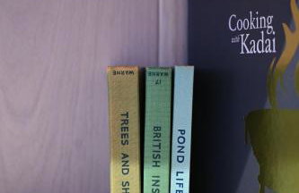 Mirror Houses Pound Farm - Pond OOD - Foto 21