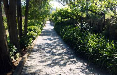 Family Secrets Douro - Foto 51